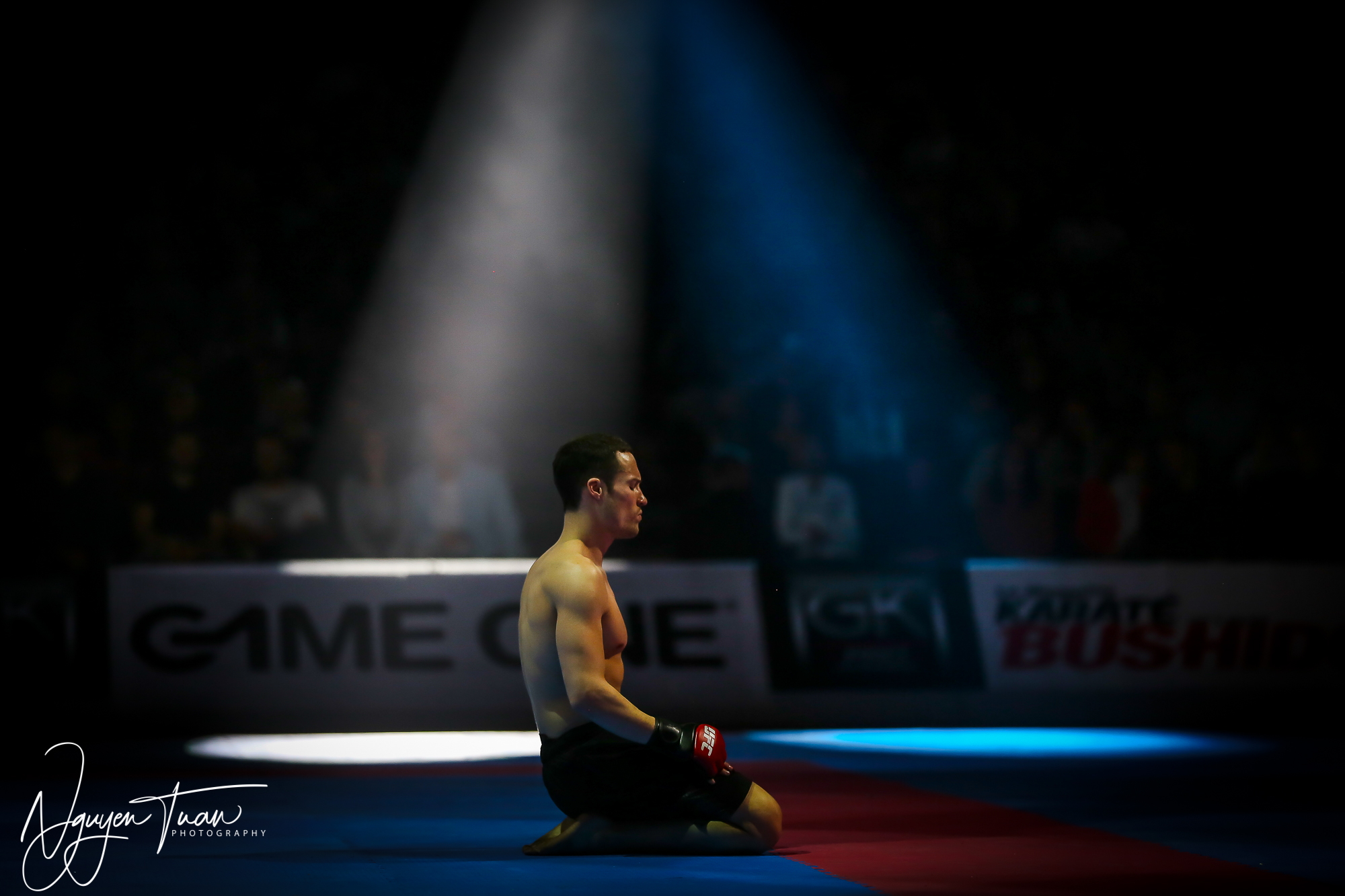 20190324 Festival des Arts Martiaux 5088